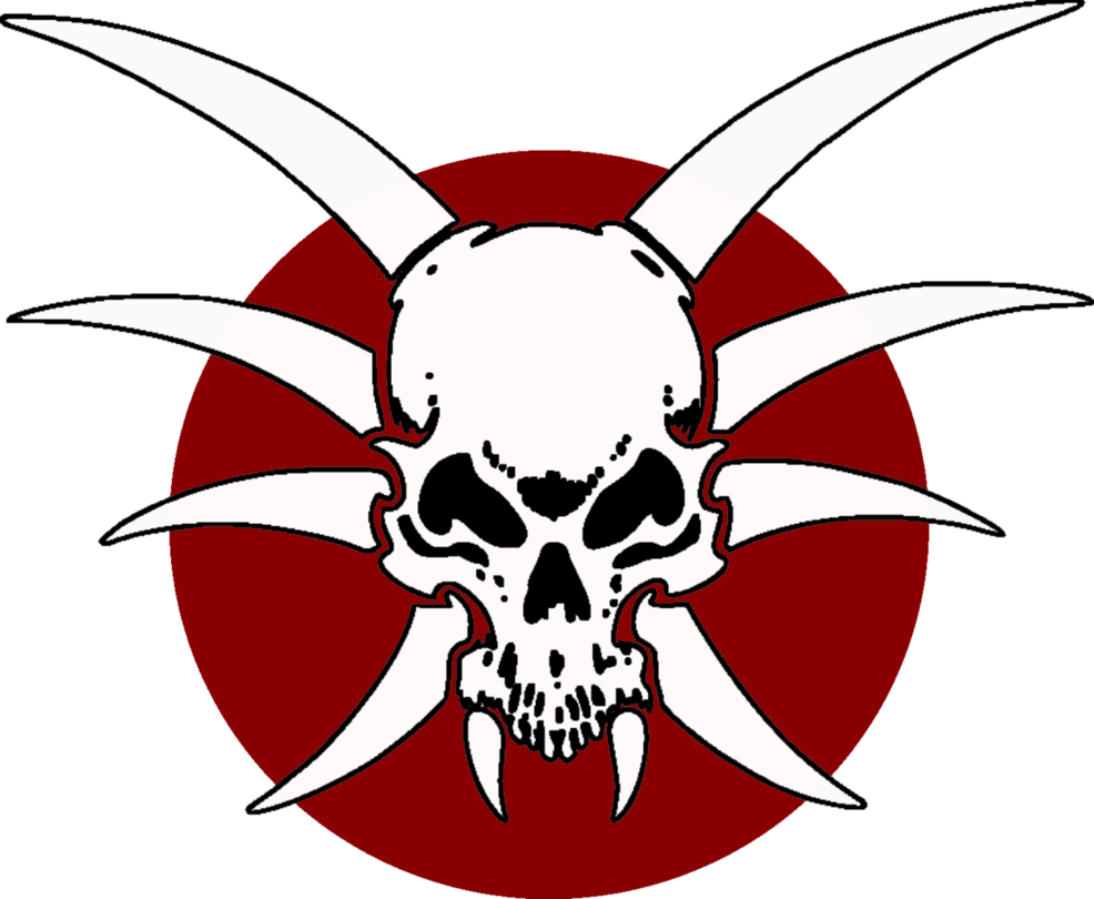 Sci Fi Pirate Symbol (986x810)