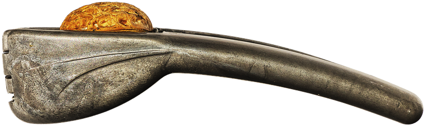 Nutcracker Walnut, Nutshell, Pliers-like - Rifle (858x340)