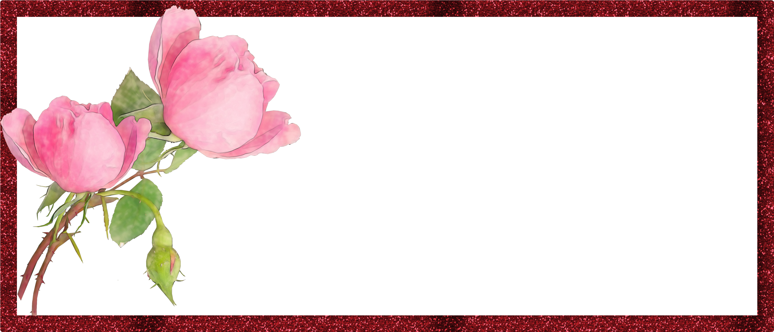 Categories - - Garden Roses (4000x2880)