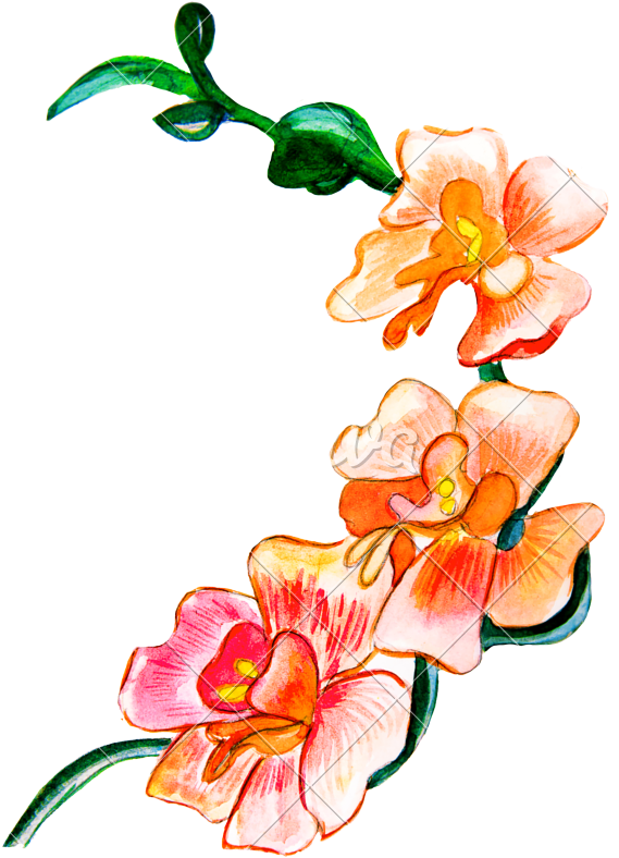 Flowers Painted With Watercolors - Happy New Year 2019 Full Hd (574x800)