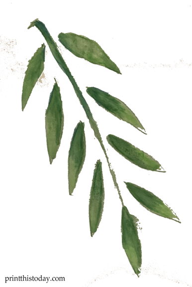 Free Watercolor Handmade Leaves Clipart Free Watercolor - Fire Cherry (386x576)