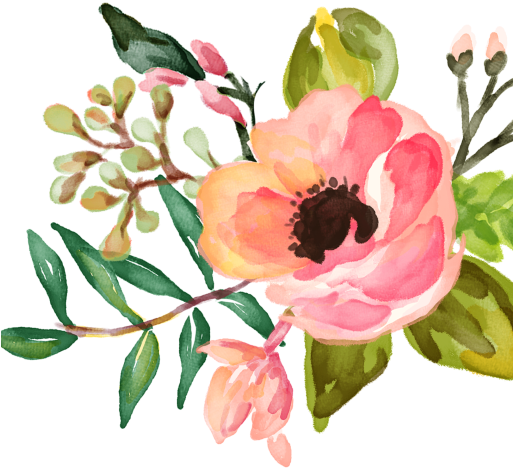 Peonies Banner Free Stock Accent Huge - Floral Desktop Backgrounds Watercolor (512x512)