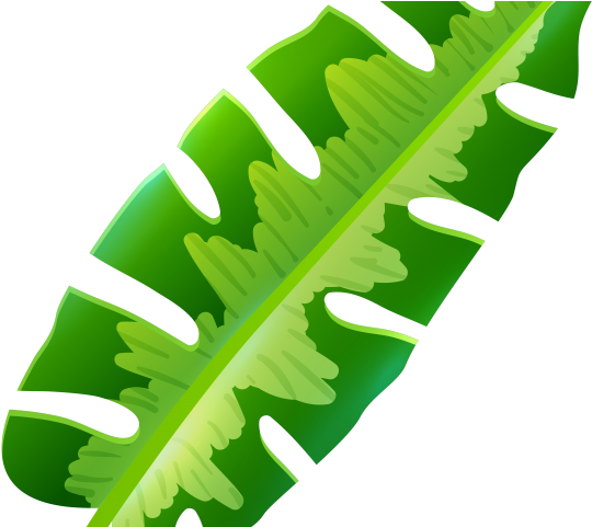 Circle Clipart Greenery - Clip Art (640x480)