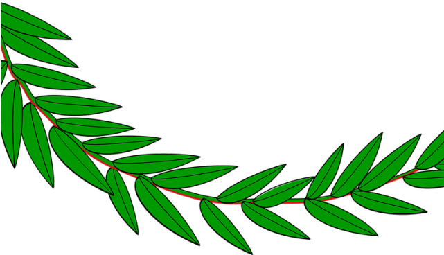 Foliage Clipart Green Laurel - Hoja De Laurel Dibujo (640x480)