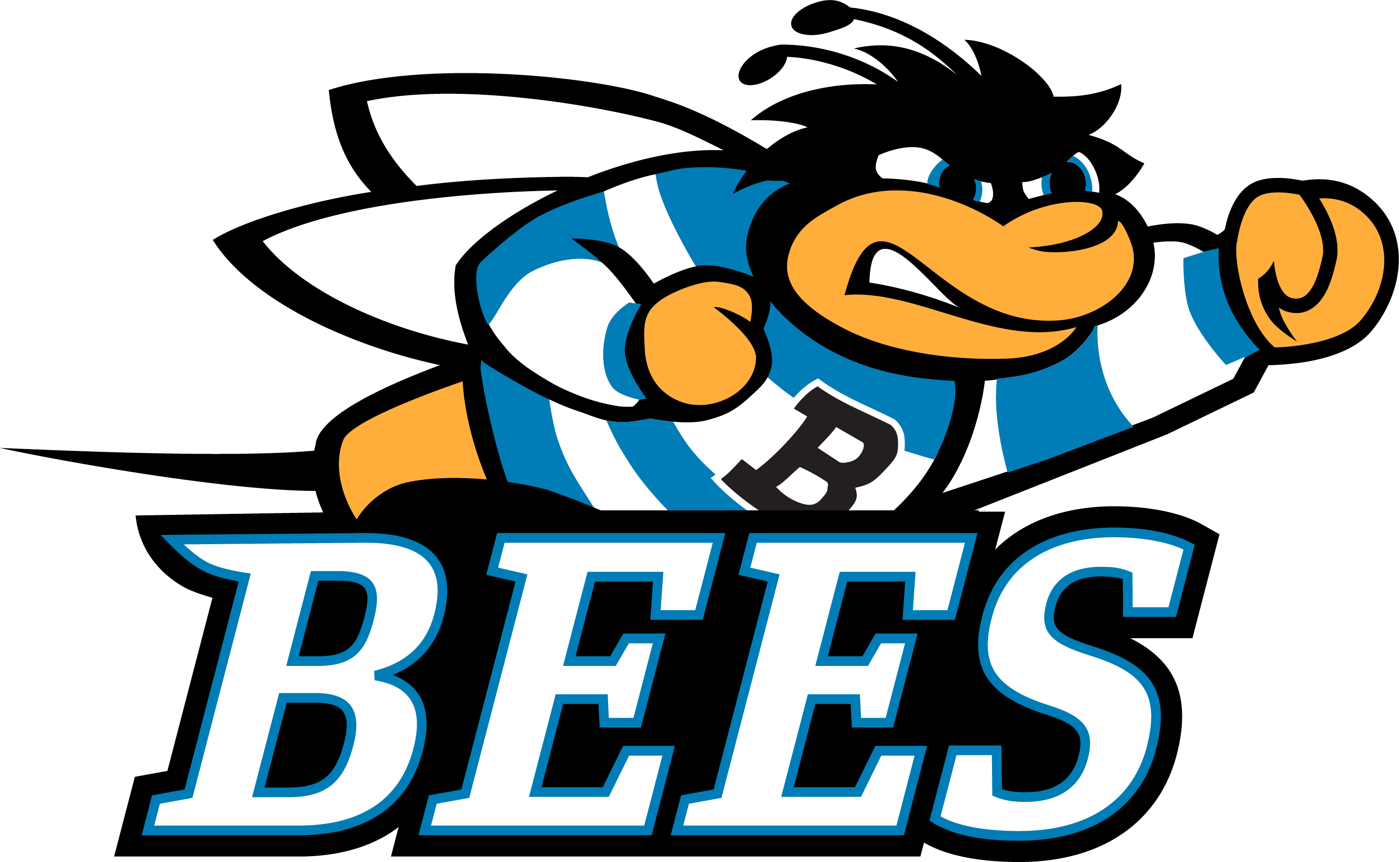 Sport Eubie Bee - University Of Baltimore Logo (2860x1763)