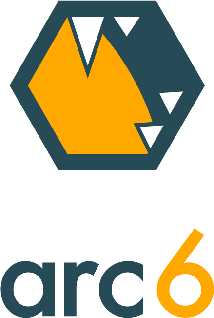 Excelent Arc6 Overwatch League Interview And Esports - Arc6 Overwatch (520x720)