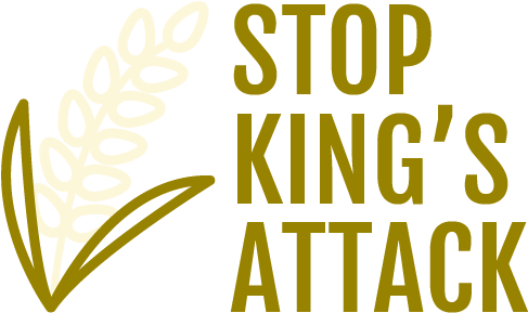 The Issue - The Issue (486x316)