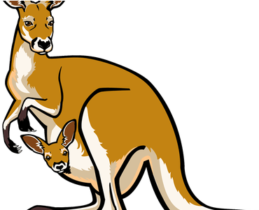 Graphic Free Stock Download Wallpaper Free Australian - Clip Art Kangaroo Png (450x300)