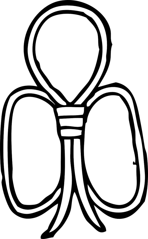 500 X 807 3 - Clip Art (500x807)