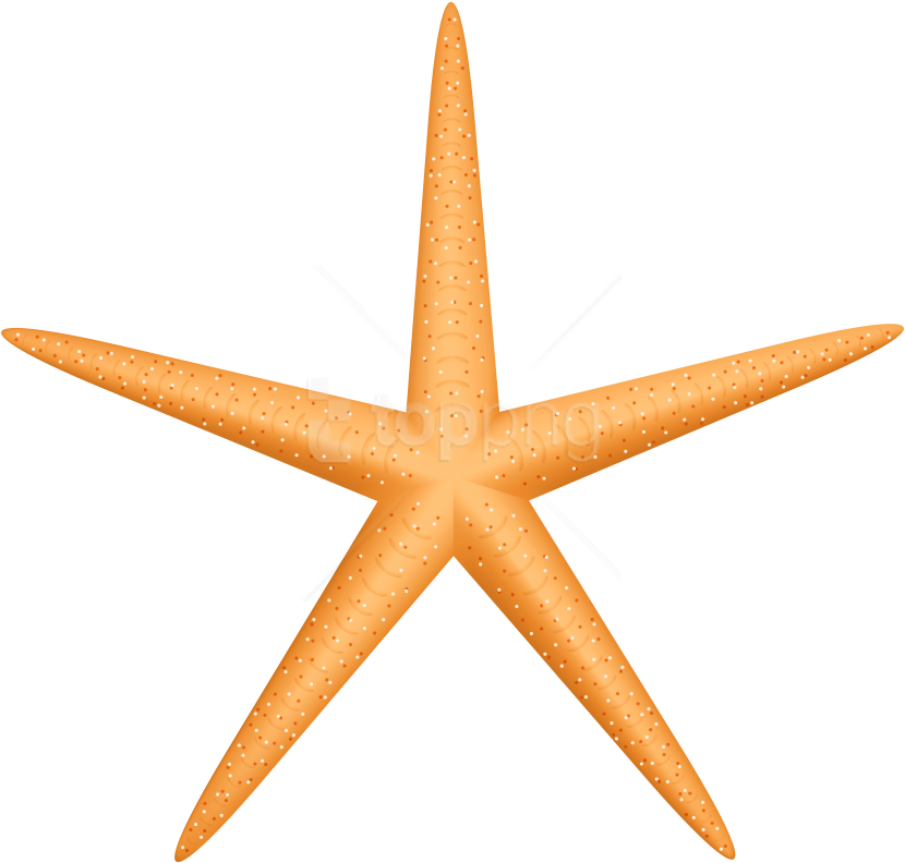 Free Png Download Yellow Starfish Clipart Png Photo - Vehículos Automotores Mexicanos (850x809)