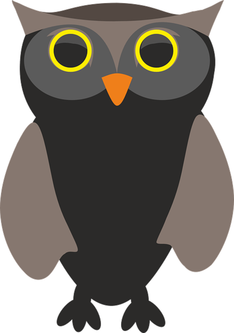 Cliparts Animaux Divers - Wild Cartoon Birds (800x1137)