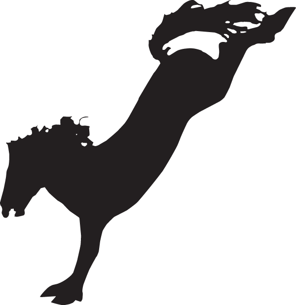 Horse Decal - Horse Bucking Clipart (600x618)