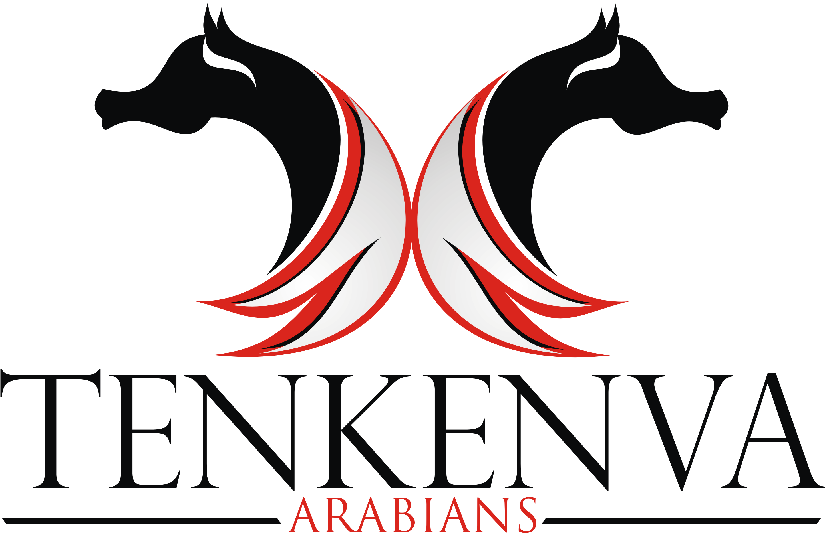 Arabian Horse Logo - Logo Stallion Arabian (2899x1868)