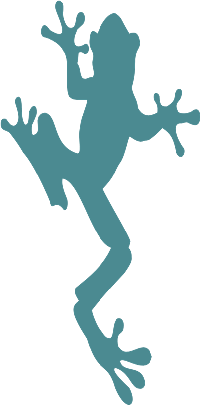 True Frog (596x851)
