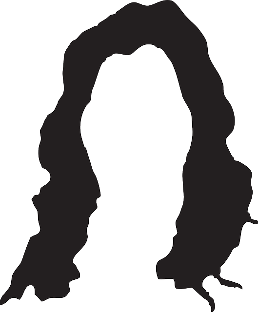 Head, Black, Silhouette, Style, Hair, Wig - Clip Art Download (529x640)
