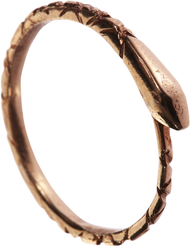 Ouroboros Png Transparent Images - Bangle (1024x1024)