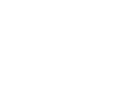 Flower Ornament 3 - Black Flower Ornament Png (420x300)