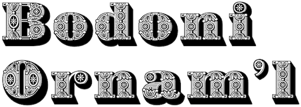 Bodoni Ornamental - Illustration (778x272)