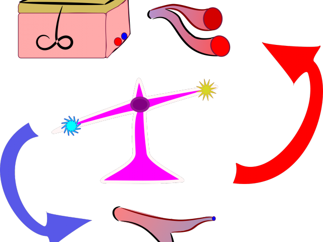 Cold Clipart Homeostasis - Thermoregulation Clipart (640x480)