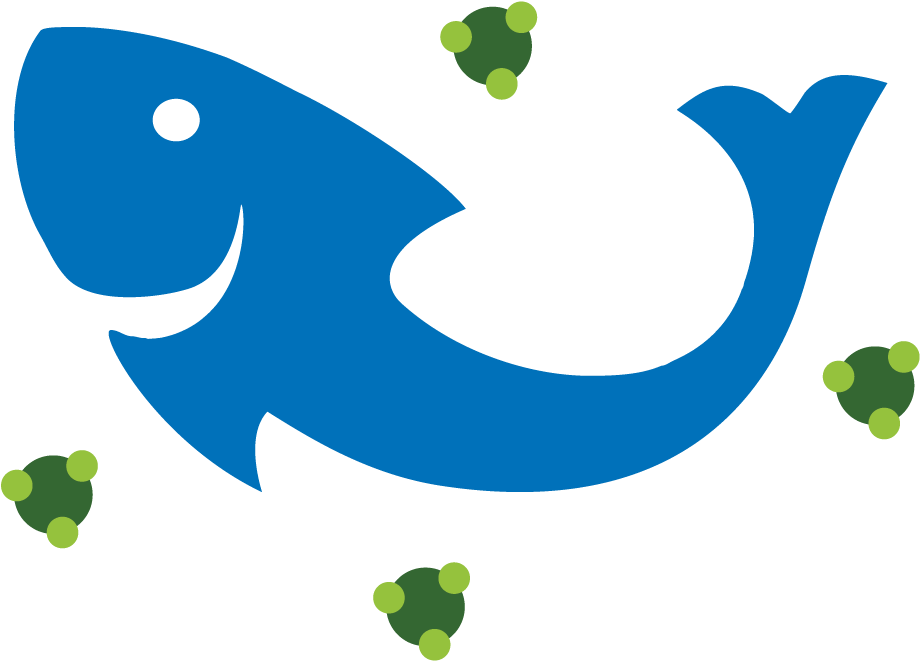 While The Plants Absorb All The Nutrients, The Water - While The Plants Absorb All The Nutrients, The Water (1000x1000)