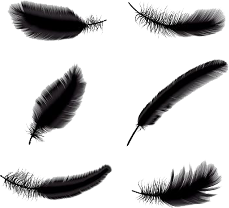 500 X 500 14 - Free Falling Feather Png (500x500)
