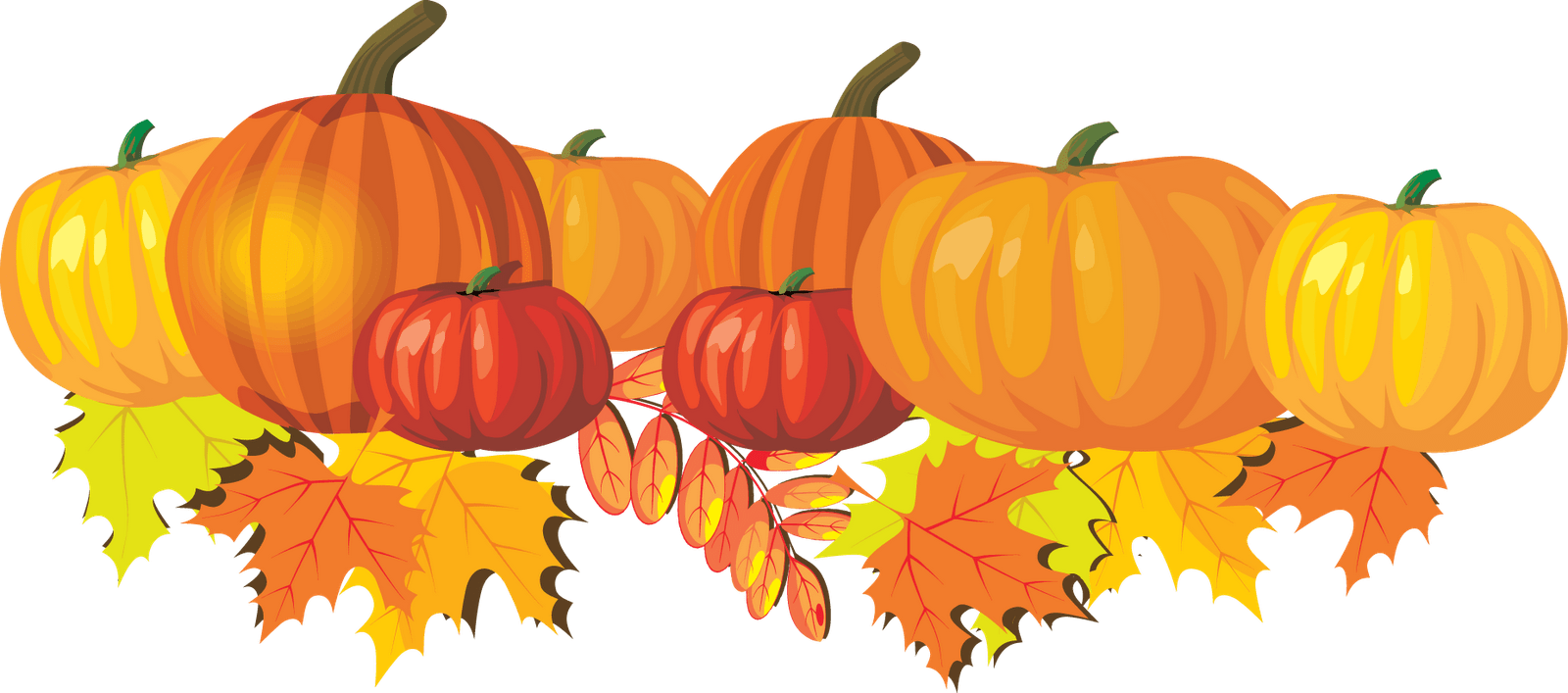 Medium Resolution Of Halloween Pumpkin Patch Clip Art - Fall Leaves And Pumpkin Clip Art (1600x707)
