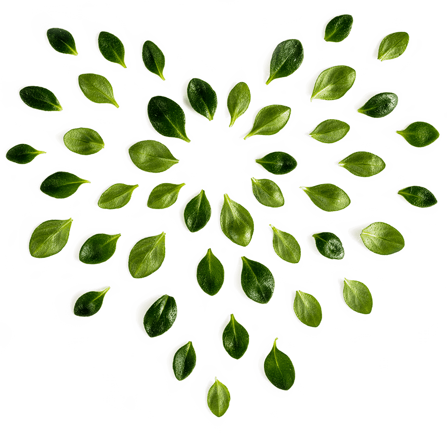 Assistance And Supportive Services To Help Them With - Assistance And Supportive Services To Help Them With (880x869)