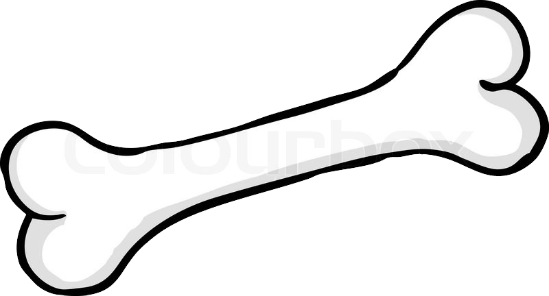 Bone Png - Косточка Клипарт (800x432)