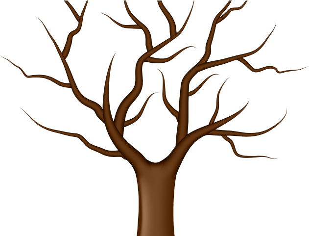 Tree Trunk Clipart - Transparent Background Tree Leaf Clip Art (640x480)