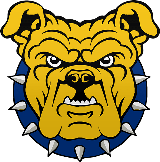 Tennessee State Tigers - North Carolina A&t State University Mascot (800x800)