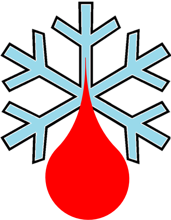 39341231 - Copo De Nieve Para Colorear (596x767)