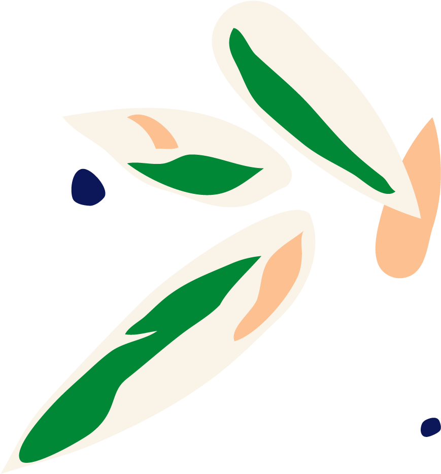 Buy Large, Potted Stromanthe Triostar Indoor Plant - Buy Large, Potted Stromanthe Triostar Indoor Plant (923x1135)