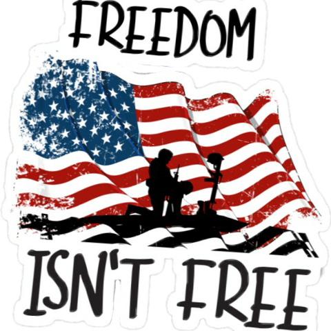 Freedom Isn T Free Veterans Day (480x480)