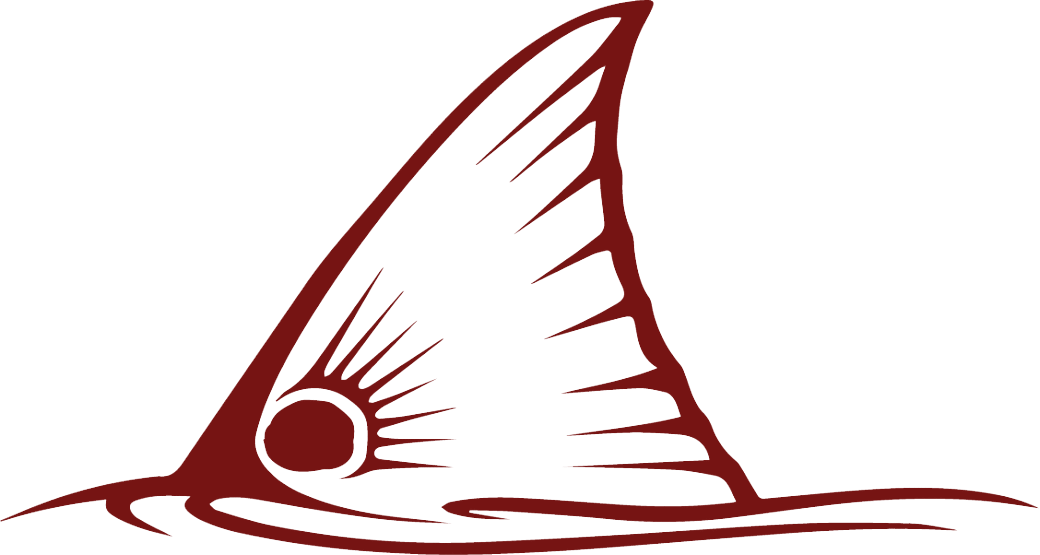 Red Drum Rodeo Fishing Tournament - Redfish Decal (1040x555)