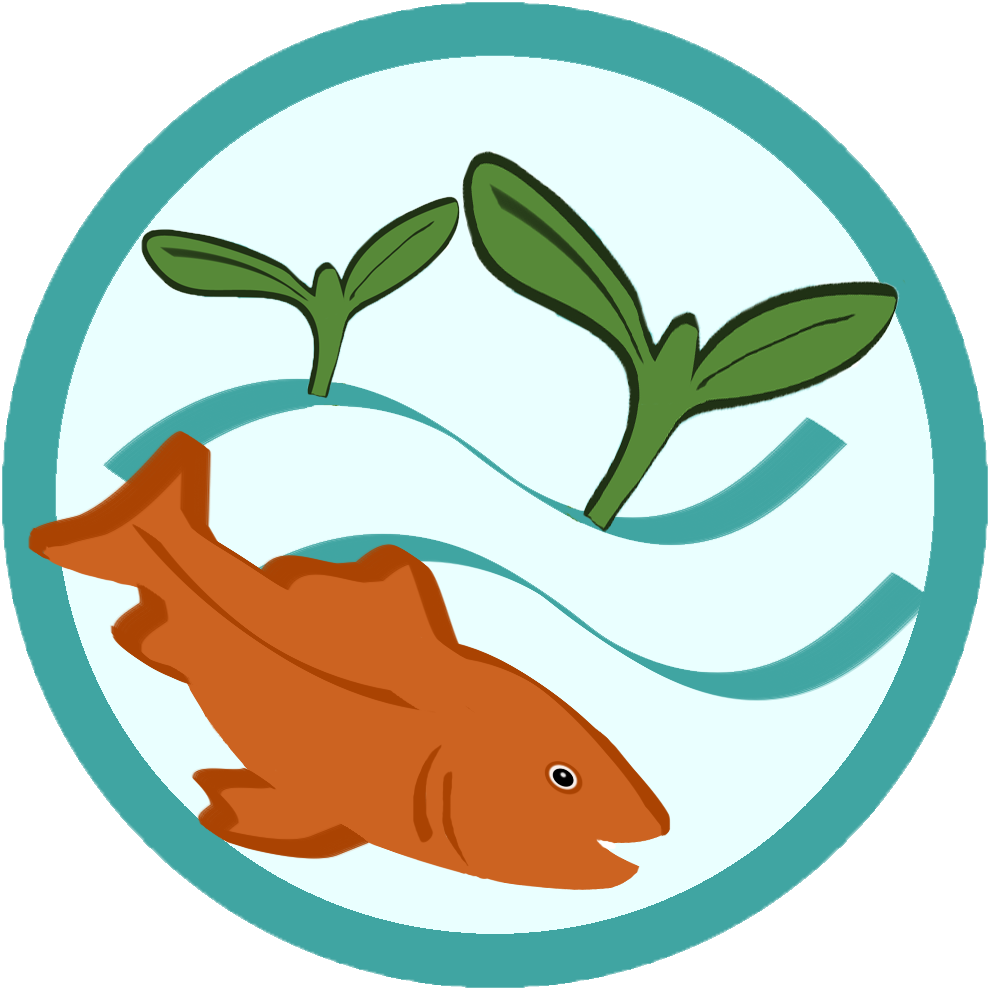 Learn About Aquaponics Grow Fish Plants Together - Aquaponics System Clipart (1080x1050)