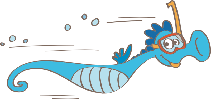 Il Nostro Staff Di Animazione Seguirà Ed Organizzerà - Il Nostro Staff Di Animazione Seguirà Ed Organizzerà (800x375)