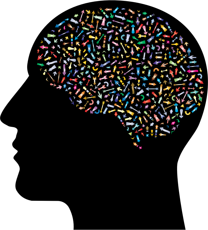 By Gdj - Brain In Skull Clip Art (706x780)