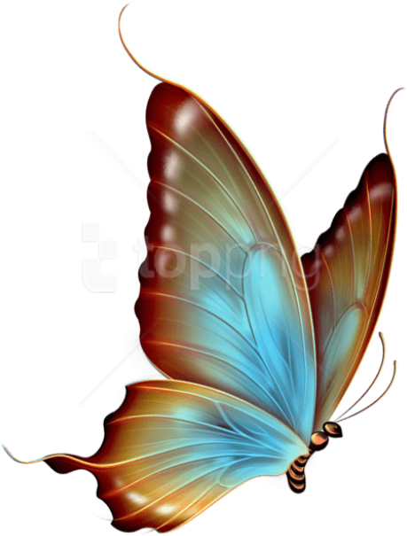Free Png Download Brown And Blue Transparent Butterfly - Transparent Background Butterfly In Png Format (480x615)