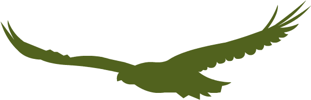 Homes For Sale - Illustration (669x210)