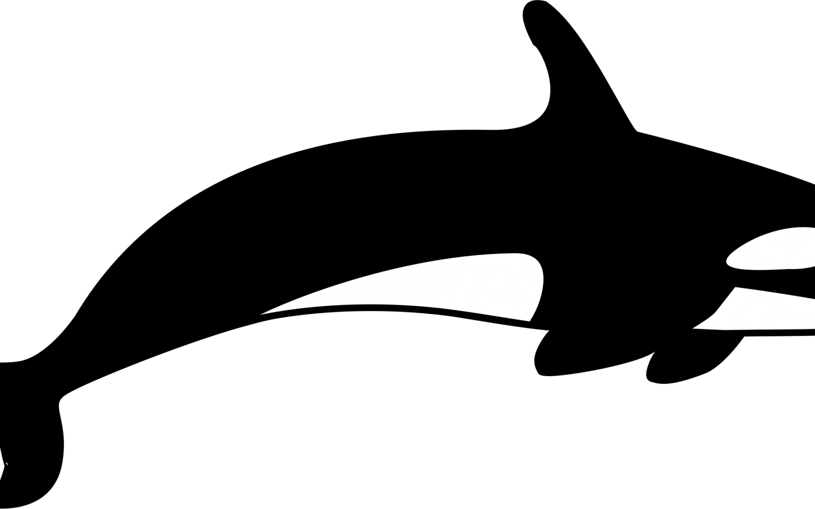 Shamu Whale Clipart Frightening Free Collection Download - Killer Whale Silhouette Transparent (1680x1050)
