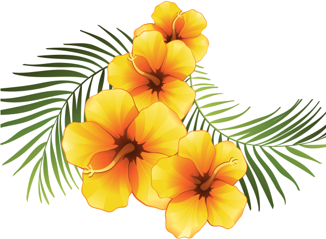 Exotic Clipart Moana - Yellow Hibiscus Clip Art (640x480)