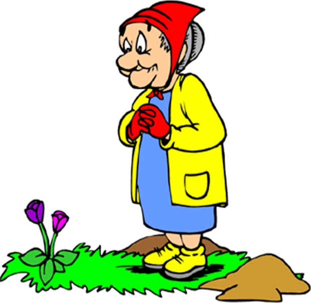 Tics Los Remedios De Mi Abuela - Old Lady Gardening Cartoon (620x604)