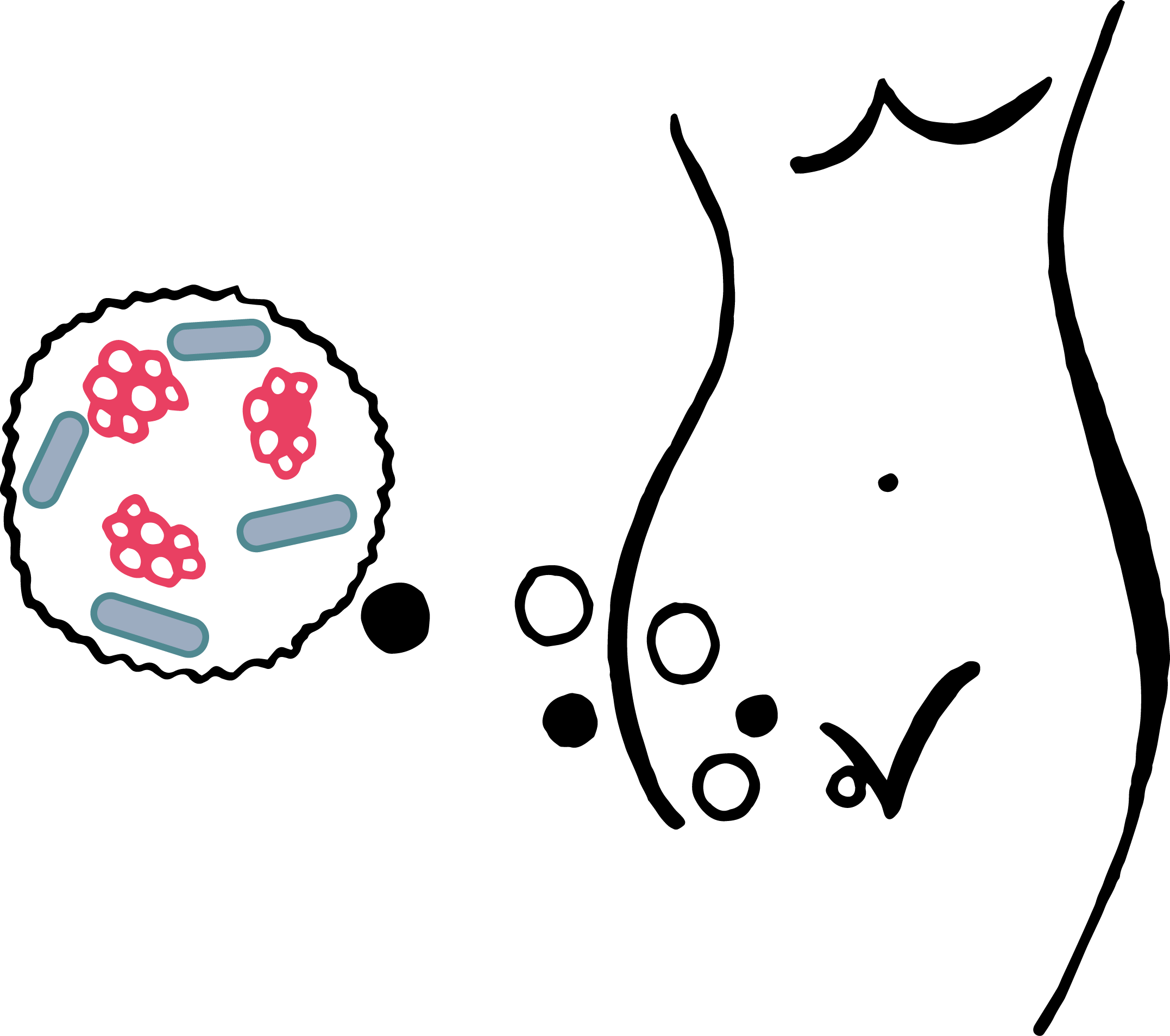 A Study By Schwiertz Et Al - A Study By Schwiertz Et Al (2154x1908)