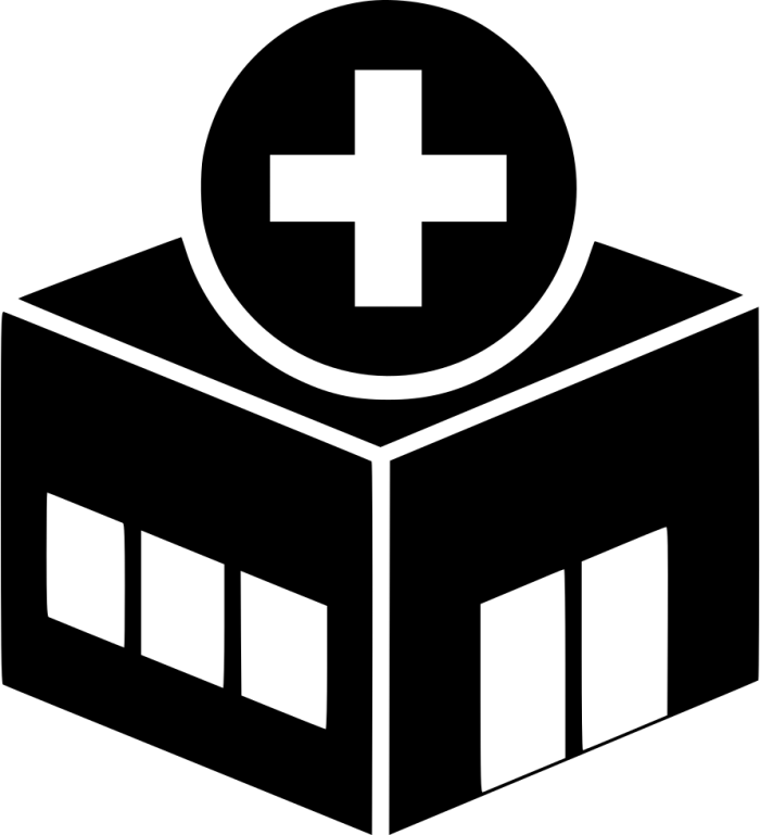 Health Vector Png - Hospital Icon Vector Png (700x769)