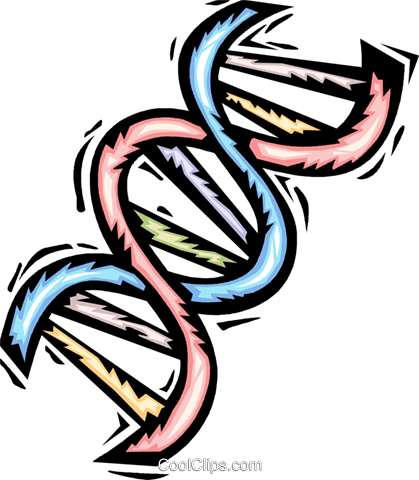 Dna Clipart For Free - Gene Clipart Png (419x480)