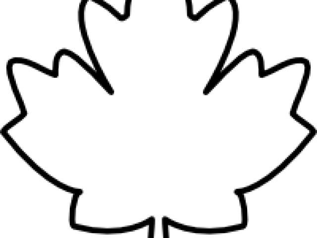 Maple Leaf Clipart Clip Art - Black And White Leaf Clipart (640x480)