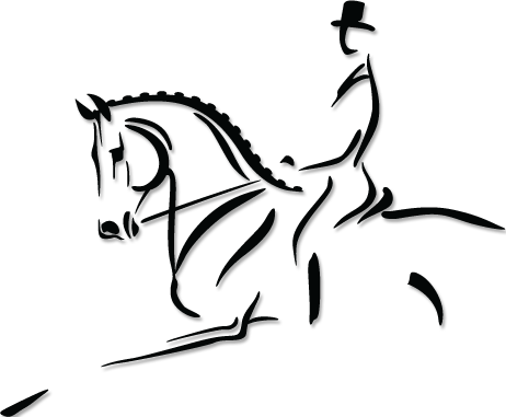 Dressage Horses For Sale Guenter Seidel Dressage - Horse Head Drawing Dressage (462x381)