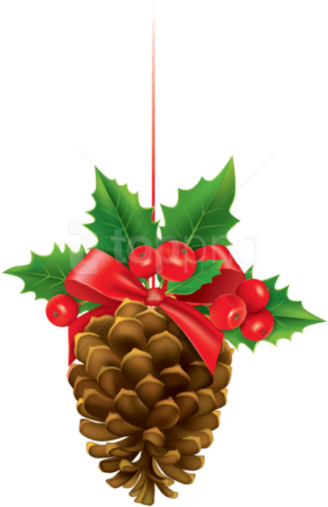 Free Png Christmas Pinecone With Mistletoe Png - Pine Cone Christmas Decorations Clipart (480x724)