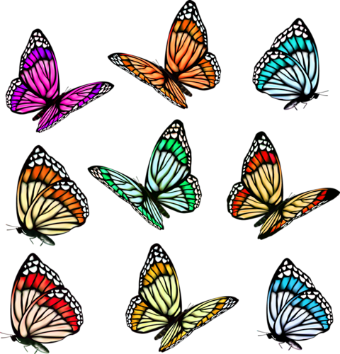 Collection Of Free Butterflies Vector Realistic - Vector Butterfly Illustration (480x500)