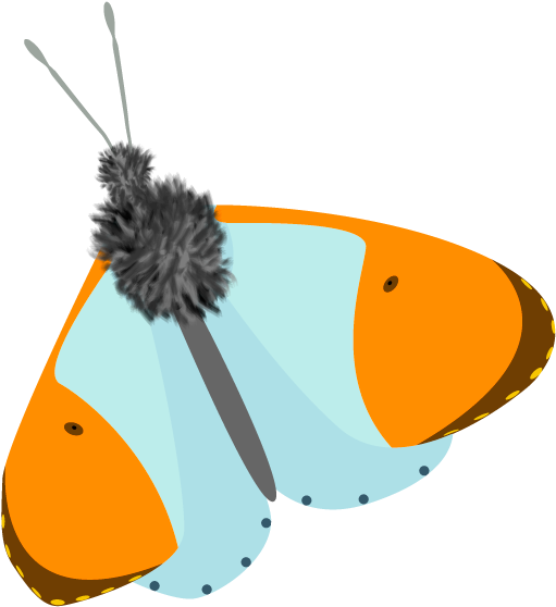 Orange Tip Butterfly - Illustration (800x600)